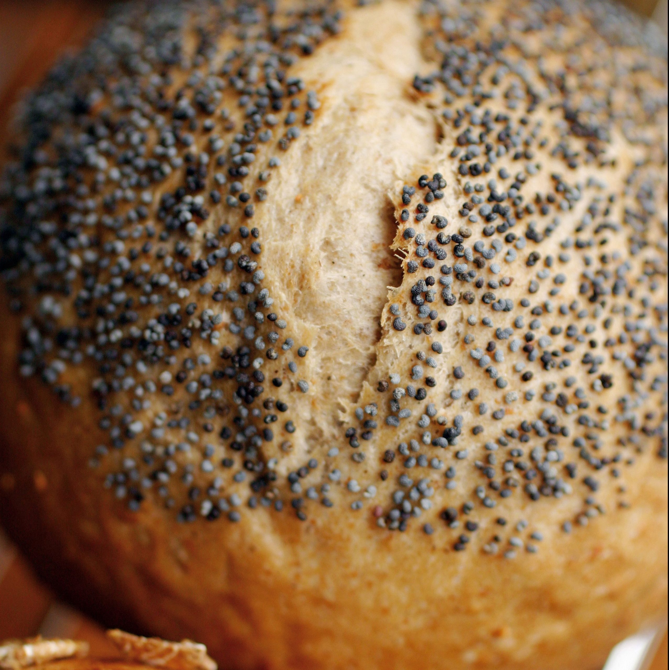 Sesame bread roll